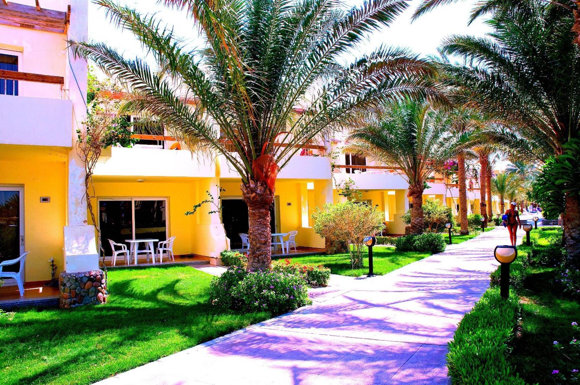 Üdülőközpont Palm Families And Couples Only 4*