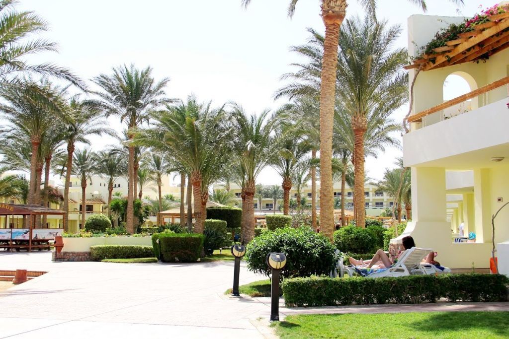 بالم بيتش 4* الغردقة